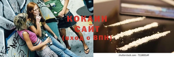 индика Красноперекопск