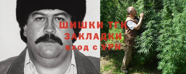 индика Красноперекопск