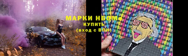 тгк Краснослободск
