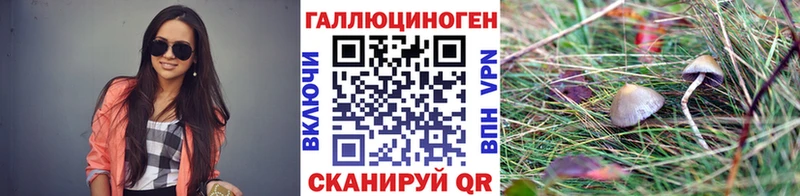 Купить закладки Люберцы Псилоцибиновые грибы Magic Shrooms